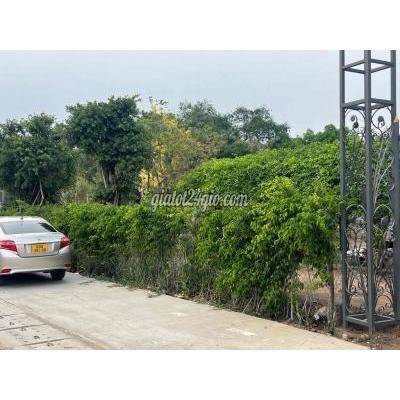 Mua Bán Đất Huyện Nhà Bè - Hồ Chí Minh Đất Sổ Đỏ 917m2 Đươgng Nguyễn Bình Nhà Bè Mua Bán Đất Huyện Nhà Bè - Hồ Chí Minh Đất Sổ Đỏ 917m2 Đươgng Nguyễn Bình Nhà Bè