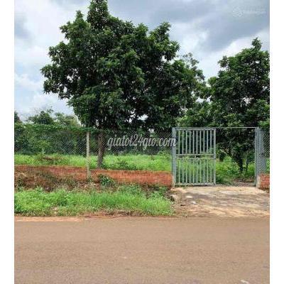 Mua Bán Đất Quận Gò Vấp - Hồ Chí Minh Gia Đình Chủ Muốn Bán Gấp Miếng Vườn Mít Dt: 2000m2 Giá 540tr Sổ Riêng Mua Bán Đất Quận Gò Vấp - Hồ Chí Minh Gia Đình Chủ Muốn Bán Gấp Miếng Vườn Mít Dt: 2000m2 Giá 540tr Sổ Riêng