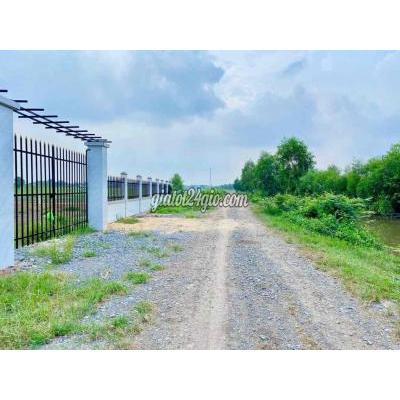 Mua Bán Đất Huyện Củ Chi - Hồ Chí Minh Cần Bán Lô Mặt Tiền Xã Phước Thạnh Củ Chi 1144m2 Giá 1ty3 Mua Bán Đất Huyện Củ Chi - Hồ Chí Minh Cần Bán Lô Mặt Tiền Xã Phước Thạnh Củ Chi 1144m2 Giá 1ty3