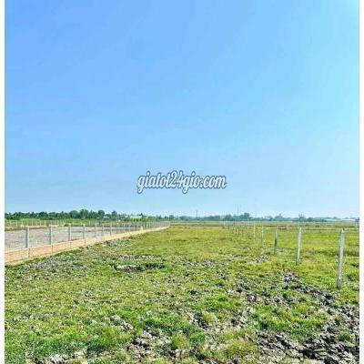 Mua Bán Đất Huyện Củ Chi - Hồ Chí Minh Cần Bán Lô Mặt Tiền Xã Phước Thạnh Củ Chi 1144m2 Giá 1ty3 Mua Bán Đất Huyện Củ Chi - Hồ Chí Minh Cần Bán Lô Mặt Tiền Xã Phước Thạnh Củ Chi 1144m2 Giá 1ty3