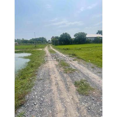 Mua Bán Đất Huyện Củ Chi - Hồ Chí Minh Cần Bán Lô Đất Tỉnh Lộ 2 Củ Chi Tphcm 1000m2 Giá 1ty630 Mua Bán Đất Huyện Củ Chi - Hồ Chí Minh Cần Bán Lô Đất Tỉnh Lộ 2 Củ Chi Tphcm 1000m2 Giá 1ty630