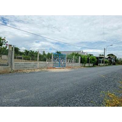 Mua Bán Đất Huyện Củ Chi - Hồ Chí Minh Đất Vườn 1034m2 Hương Lộ 2, Củ Chi 1tỷ4. Đường Kênh 8m, Ô Tô Tới Đất. Mua Bán Đất Huyện Củ Chi - Hồ Chí Minh Đất Vườn 1034m2 Hương Lộ 2, Củ Chi 1tỷ4. Đường Kênh 8m, Ô Tô Tới Đất.