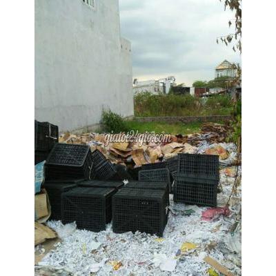 Mua Bán Đất Huyện Bình Chánh - Hồ Chí Minh Đất Thổ Cư,mtkd Buôn Bán, Gần Chợ Cầu Tràm Mua Bán Đất Huyện Bình Chánh - Hồ Chí Minh Đất Thổ Cư,mtkd Buôn Bán, Gần Chợ Cầu Tràm