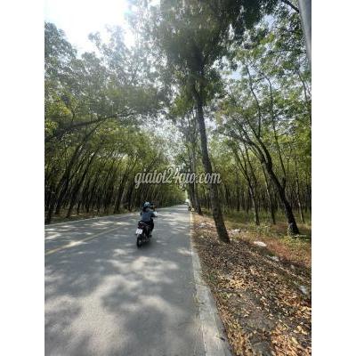 Mua Bán Đất Huyện Củ Chi - Hồ Chí Minh Ngộp Tiềnh Cần Bán Lô Đất Vườn 500m2 Đường Bà Thiên, Nhuận Đức, Mua Bán Đất Huyện Củ Chi - Hồ Chí Minh Ngộp Tiềnh Cần Bán Lô Đất Vườn 500m2 Đường Bà Thiên, Nhuận Đức,