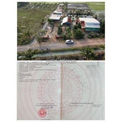 Mua Bán Đất Huyện Củ Chi - Hồ Chí Minh Đất Vườn Đường Oto View Kênh 576 M2, Cách Thị Trấn Củ Chi 1km, 1 Tỷ275 Mua Bán Đất Huyện Củ Chi - Hồ Chí Minh Đất Vườn Đường Oto View Kênh 576 M2, Cách Thị Trấn Củ Chi 1km, 1 Tỷ275