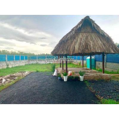 Mua Bán Đất Huyện Hóc Môn - Hồ Chí Minh Chính Chủ Cần Bán Gấp Lô Đất Vườn 1058m2 Đường Nguyễn Thị Đành Mua Bán Đất Huyện Hóc Môn - Hồ Chí Minh Chính Chủ Cần Bán Gấp Lô Đất Vườn 1058m2 Đường Nguyễn Thị Đành