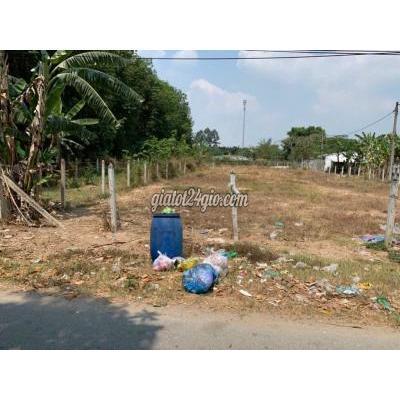 Mua Bán Đất Huyện Củ Chi - Hồ Chí Minh Đất Vườn Tiện Xây Nhà Vườn Nghỉ Dưỡng 500m2 Bà Thiên, Nhuận Đức 1tỷ250 Mua Bán Đất Huyện Củ Chi - Hồ Chí Minh Đất Vườn Tiện Xây Nhà Vườn Nghỉ Dưỡng 500m2 Bà Thiên, Nhuận Đức 1tỷ250