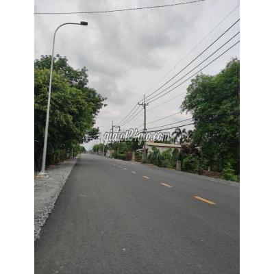 Mua Bán Đất Huyện Củ Chi - Hồ Chí Minh Đất Vườn Tiện Xây Nhà Vườn Nghỉ Dưỡng 500m2 Bà Thiên, Nhuận Đức 1tỷ250 Mua Bán Đất Huyện Củ Chi - Hồ Chí Minh Đất Vườn Tiện Xây Nhà Vườn Nghỉ Dưỡng 500m2 Bà Thiên, Nhuận Đức 1tỷ250