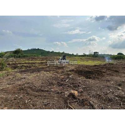 Mua Bán Đất Quận Gò Vấp - Hồ Chí Minh Đất Thổ Cư Huỳnh Văn Nghệ-sát Sân Gofl Tân Sơn Nhất,đường 7m,xd Tự Do. Mua Bán Đất Quận Gò Vấp - Hồ Chí Minh Đất Thổ Cư Huỳnh Văn Nghệ-sát Sân Gofl Tân Sơn Nhất,đường 7m,xd Tự Do.