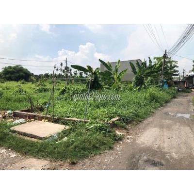 Mua Bán Đất Huyện Củ Chi - Hồ Chí Minh Tiếp Tục Giảm Giá Sâu Đất Bình Mỹ - Củ Chi 135m2 Thổ Cư, Chính Chủ Mua Bán Đất Huyện Củ Chi - Hồ Chí Minh Tiếp Tục Giảm Giá Sâu Đất Bình Mỹ - Củ Chi 135m2 Thổ Cư, Chính Chủ