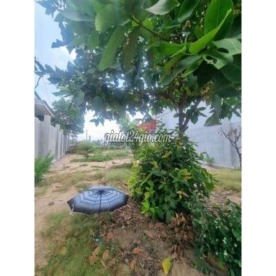 Mua Bán Đất Huyện Bình Chánh - Hồ Chí Minh Kẹt Tiền Đt, Chỉ 1,69ty Sở Hữu Lô Đất 9x28 Mt Nhựa 10m, B.chánh Mua Bán Đất Huyện Bình Chánh - Hồ Chí Minh Kẹt Tiền Đt, Chỉ 1,69ty Sở Hữu Lô Đất 9x28 Mt Nhựa 10m, B.chánh