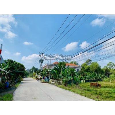 Mua Bán Đất Huyện Củ Chi - Hồ Chí Minh Đất Thổ Cư, 120m2 Đường Bê Tông 8m, Tân An Hội, Sổ Hồng Riêng, 880tr Mua Bán Đất Huyện Củ Chi - Hồ Chí Minh Đất Thổ Cư, 120m2 Đường Bê Tông 8m, Tân An Hội, Sổ Hồng Riêng, 880tr