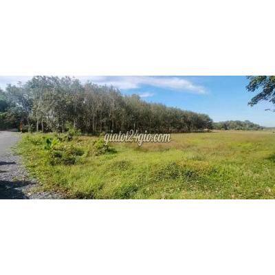Mua Bán Đất Huyện Củ Chi - Hồ Chí Minh C97: Bán Đất Xã An Nhơn Tây, Củ Chi 5280m2 Đất Vườn Mua Bán Đất Huyện Củ Chi - Hồ Chí Minh C97: Bán Đất Xã An Nhơn Tây, Củ Chi 5280m2 Đất Vườn