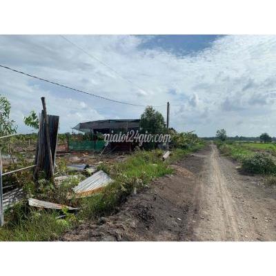 Mua Bán Đất Quận Bình Tân - Hồ Chí Minh Ông Anh Kẹt Tiền Bán Lô Đất Vĩnh Lộc B ,cách Ubnd Vl B 1.5km, 450tr Mua Bán Đất Quận Bình Tân - Hồ Chí Minh Ông Anh Kẹt Tiền Bán Lô Đất Vĩnh Lộc B ,cách Ubnd Vl B 1.5km, 450tr