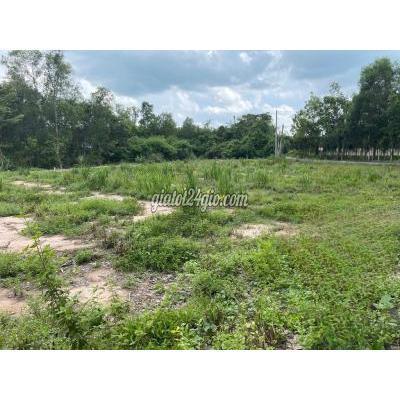 Mua Bán Đất Quận 12 - Hồ Chí Minh Chỉ 880tr Sở Hữu Ngay Lô Đất Full Thổ Cư Cạnh Thủ Phủ Kcn Tây Ninh Mua Bán Đất Quận 12 - Hồ Chí Minh Chỉ 880tr Sở Hữu Ngay Lô Đất Full Thổ Cư Cạnh Thủ Phủ Kcn Tây Ninh