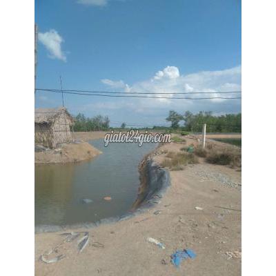 Mua Bán Đất Huyện Cần Giờ - Hồ Chí Minh Cần Bán Mảnh Đất Mua Bán Đất Huyện Cần Giờ - Hồ Chí Minh Cần Bán Mảnh Đất