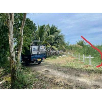 Mua Bán Đất Huyện Long Hồ - Vĩnh Long Bán Đất Xã Long Phước Huyện Long Hồ Mua Bán Đất Huyện Long Hồ - Vĩnh Long Bán Đất Xã Long Phước Huyện Long Hồ
