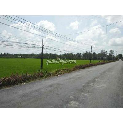 Mua Bán Đất Huyện Tam Bình - Vĩnh Long Bán 17,7 Công Đất Lúa Mặt Tiền Tl 905 Long Phú, Tam Bình, Vĩnh Long. Mua Bán Đất Huyện Tam Bình - Vĩnh Long Bán 17,7 Công Đất Lúa Mặt Tiền Tl 905 Long Phú, Tam Bình, Vĩnh Long.