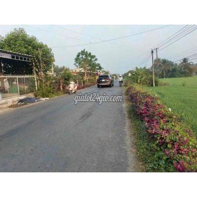 Mua Bán Đất Huyện Tam Bình - Vĩnh Long Bán 17,7 Công Đất Lúa Mặt Tiền Tl 905 Long Phú, Tam Bình, Vĩnh Long. Mua Bán Đất Huyện Tam Bình - Vĩnh Long Bán 17,7 Công Đất Lúa Mặt Tiền Tl 905 Long Phú, Tam Bình, Vĩnh Long.