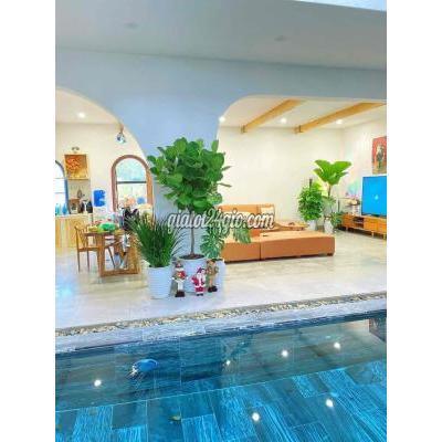 Mua Bán Nhà Ở Quận Sơn Trà - Đà Nẵng Cần Chuyển Nhượng Villa Có Hồ Bơi Mua Bán Nhà Ở Quận Sơn Trà - Đà Nẵng Cần Chuyển Nhượng Villa Có Hồ Bơi
