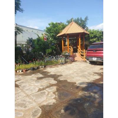 Mua Bán Nhà Ở Thành Phố Biên Hòa - Đồng Nai Biệt Thự Biên Hòa 27x40 1100m2 Tc Shr Có Hồ Bơi Mua Bán Nhà Ở Thành Phố Biên Hòa - Đồng Nai Biệt Thự Biên Hòa 27x40 1100m2 Tc Shr Có Hồ Bơi
