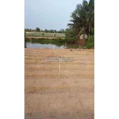 Mua Bán Nhà Ở Huyện Gò Công Đông - Tiền Giang Ban Nha 2 Tỷ Mua Bán Nhà Ở Huyện Gò Công Đông - Tiền Giang Ban Nha 2 Tỷ