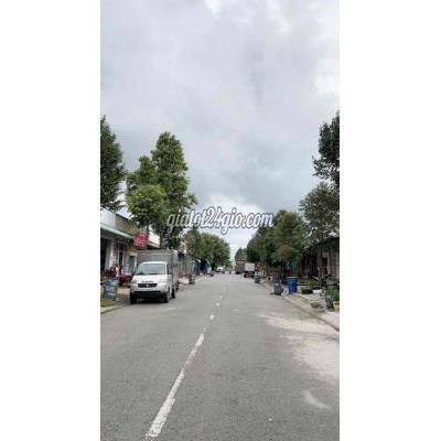 Mua Bán Nhà Ở Huyện Bình Chánh - Hồ Chí Minh Trọ 540tr 290m2 10phòng2kiot Ở Hóc Môn Lãi 28tr/tháng. Mua Bán Nhà Ở Huyện Bình Chánh - Hồ Chí Minh Trọ 540tr 290m2 10phòng2kiot Ở Hóc Môn Lãi 28tr/tháng.