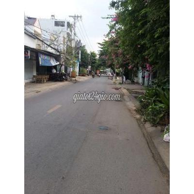 Mua Bán Nhà Ở Huyện Hóc Môn - Hồ Chí Minh Chính Chủ Cần Tiền Bán Gấp Căn Nhà Cấp 4 Xuân Thới Thượng Hóc Môn Mua Bán Nhà Ở Huyện Hóc Môn - Hồ Chí Minh Chính Chủ Cần Tiền Bán Gấp Căn Nhà Cấp 4 Xuân Thới Thượng Hóc Môn