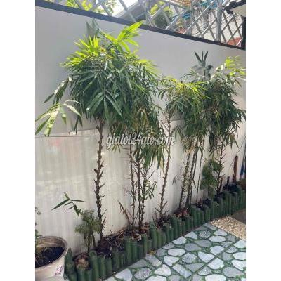 Mua Bán Nhà Ở Huyện Nhà Bè - Hồ Chí Minh Nhà Mới Vô Ở Liền Mua Bán Nhà Ở Huyện Nhà Bè - Hồ Chí Minh Nhà Mới Vô Ở Liền