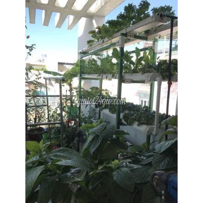 Mua Bán Nhà Ở Quận Tân Bình - Hồ Chí Minh Nhà Hẻm Xe Hơi, Trục Đường Lý Thường Kiệt, Quận Tân Bình Mua Bán Nhà Ở Quận Tân Bình - Hồ Chí Minh Nhà Hẻm Xe Hơi, Trục Đường Lý Thường Kiệt, Quận Tân Bình