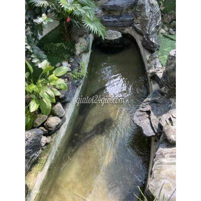 Mua Bán Nhà Ở Huyện Nhà Bè - Hồ Chí Minh Nhà Mt Đào Sư Tích, Phước Lộc, Nhà Bè: 14( Nh: 21m) X 75m, Giá 74,5 Ty Mua Bán Nhà Ở Huyện Nhà Bè - Hồ Chí Minh Nhà Mt Đào Sư Tích, Phước Lộc, Nhà Bè: 14( Nh: 21m) X 75m, Giá 74,5 Ty