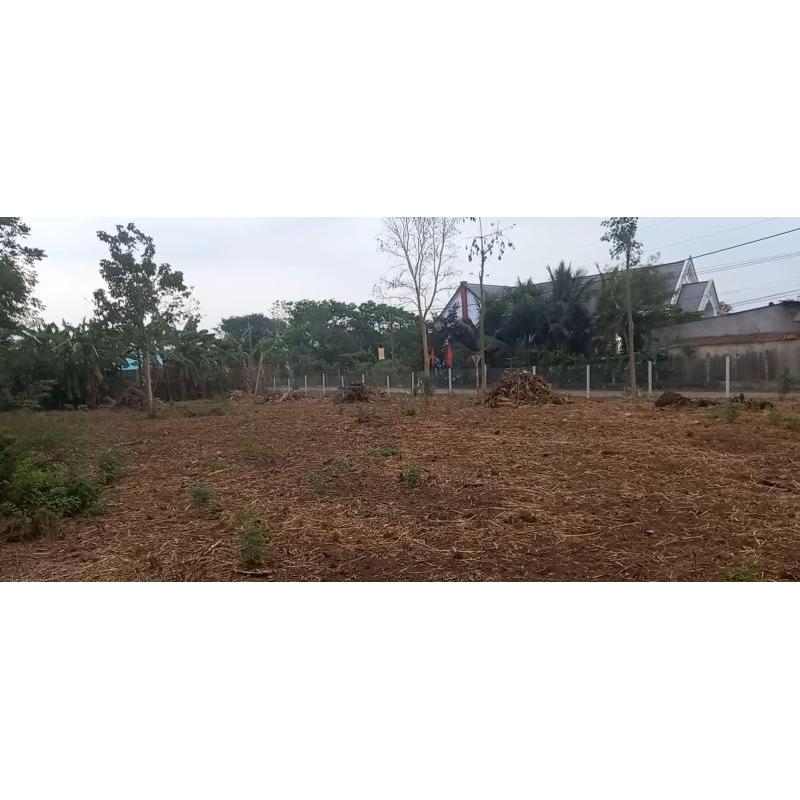 Đất Thổ Cư Cẩm Mỹ Đồng Nai Bán Đất Chính Chủ Ngã 3 - 2 Mặt Tiền Đường Đất Thổ Cư Cẩm Mỹ Đồng Nai Bán Đất Chính Chủ Ngã 3 - 2 Mặt Tiền Đường