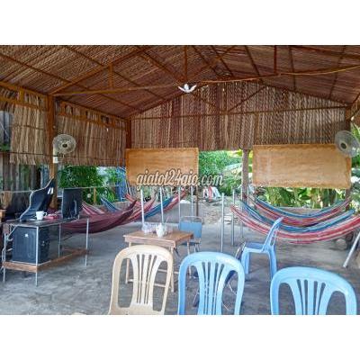Cây Cảnh, Bonsai Bến Lức Long An Cà Phê Võng Cafe Cafe Gần Đây Lá Cà Phê Bến Lức Long An Cây Cảnh, Bonsai Bến Lức Long An Cà Phê Võng Cafe Cafe Gần Đây Lá Cà Phê Bến Lức Long An