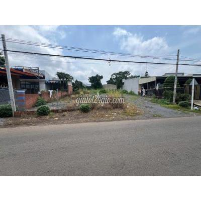 Nhà Đất Thống Nhất Đồng Nai Cần Bán Gấp Đất Thổ Cư 130m2 Đồng Nai - Thống Nhất Nhà Đất Thống Nhất Đồng Nai Cần Bán Gấp Đất Thổ Cư 130m2 Đồng Nai - Thống Nhất