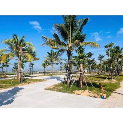 Đất Nền Phù Cát Bình Định Bán Đất Nền Và Shophouse Siêu Đẹp Ở Cát Tiến Phù Cát Đất Nền Phù Cát Bình Định Bán Đất Nền Và Shophouse Siêu Đẹp Ở Cát Tiến Phù Cát