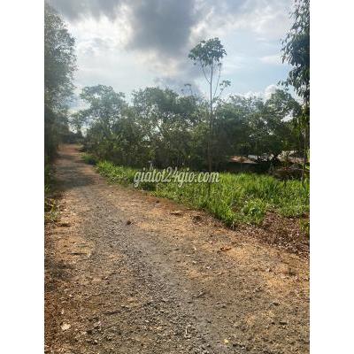 Nhà Đất Cẩm Mỹ Đồng Nai Bán Đất Tại Long Giao Bảo Bình 16 Tỷ 2770 M2 Giá Cực Chất Nhanh Tay S... Nhà Đất Cẩm Mỹ Đồng Nai Bán Đất Tại Long Giao Bảo Bình 16 Tỷ 2770 M2 Giá Cực Chất Nhanh Tay S...