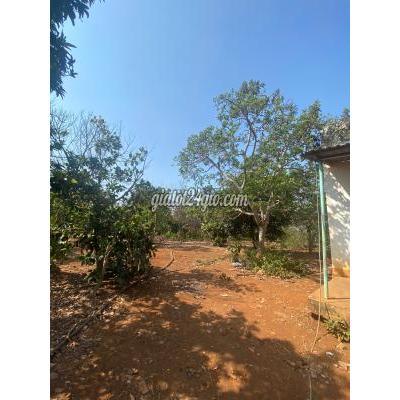 Đất Nền Cẩm Mỹ Đồng Nai Phân Lô Nền 315m2 Thổ Cư 100m2 Mặt Tiền Nhựa Bảo Bình - Xuân Mỹ Đất Nền Cẩm Mỹ Đồng Nai Phân Lô Nền 315m2 Thổ Cư 100m2 Mặt Tiền Nhựa Bảo Bình - Xuân Mỹ