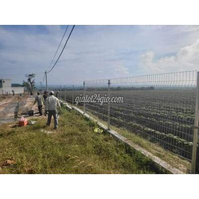 Vật Tư, Vật Liệu Xây Dựng, Sàn Gỗ, Ván, Tôn Thanh Trì Hà Nội Hàng Rào Lưới Thép Hàn Hàng Rào Lưới Thép Mạ Kẽm Hàng Rào Khu Công Ngh... Vật Tư, Vật Liệu Xây Dựng, Sàn Gỗ, Ván, Tôn Thanh Trì Hà Nội Hàng Rào Lưới Thép Hàn Hàng Rào Lưới Thép Mạ Kẽm Hàng Rào Khu Công Ngh...