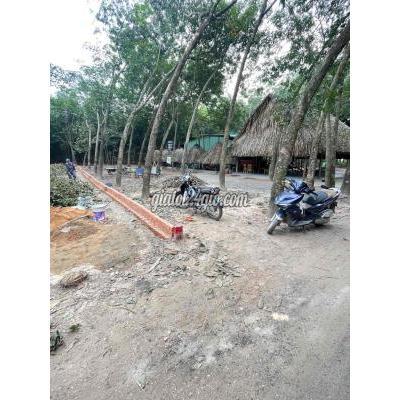 Đất Thổ Cư Bến Cát - Bình Dương Đất Thổ Cư Bến Cát - Bình Dương