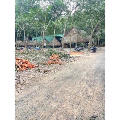 Đất Thổ Cư Bến Cát - Bình Dương Đất Thổ Cư Bến Cát - Bình Dương