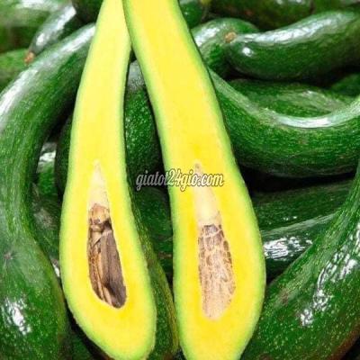 Nông Nghiệp, Hạt Giống, Cây Giống Gia Lâm Hà Nội Cây Giống Bơ 034 Nông Nghiệp, Hạt Giống, Cây Giống Gia Lâm Hà Nội Cây Giống Bơ 034