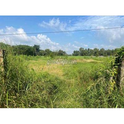 Đất Nông Nghiệp Hóc Môn - Hồ Chí Minh Đất Nông Nghiệp Hóc Môn - Hồ Chí Minh