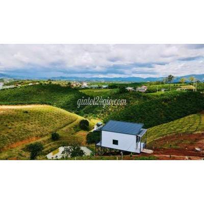 Đất Thổ Cư Lâm Hà - Lâm Đồng Đất Thổ Cư Lâm Hà - Lâm Đồng