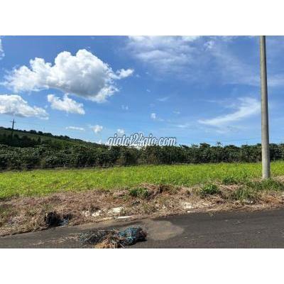 Đất Thổ Cư Bảo Lâm - Lâm Đồng