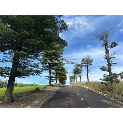 Đất Thổ Cư Bảo Lâm - Lâm Đồng