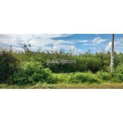 Đất Thổ Cư Định Quán - Đồng Nai Đất Thổ Cư Định Quán - Đồng Nai