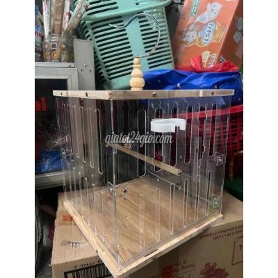 Phụ Kiện, Thức Ăn, Dịch Vụ Cho Thú Cưng Cũ Quận 12 - Hồ Chí Minh