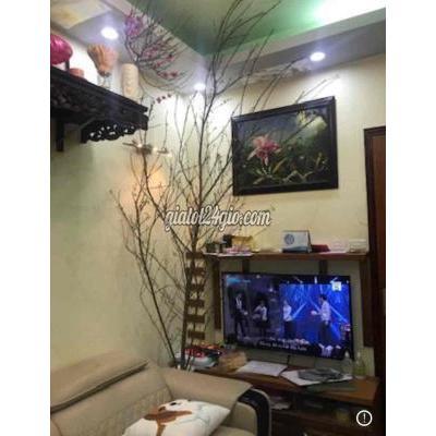 Bán Căn Hộ Ba Đình - Hà Nội Bán Căn Hộ Ba Đình - Hà Nội