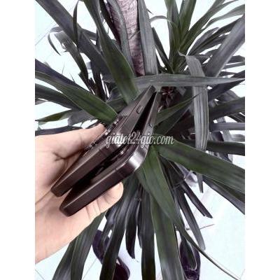 Điện Thoại Iphone Cũ Trảng Bom - Đồng Nai