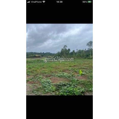 Đất Nông Nghiệp Buôn Ma Thuột - Đắk Lắk